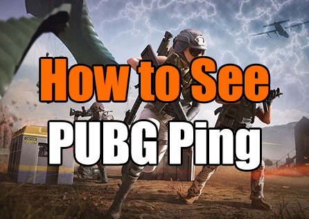 How to See Ping in PUBG