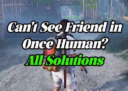 Why Can't You See Friend in Once Human