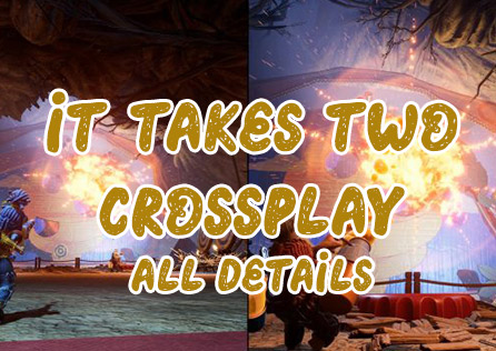 It Takes Two Crossplay: Details You Want to Know